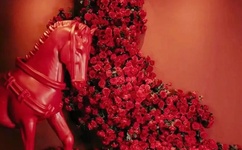 日本一区免费更新不卡